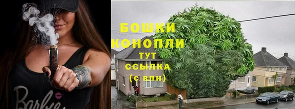 дурь Лиски