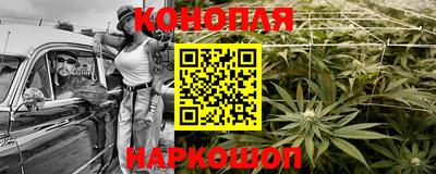 молекула духа Будённовск