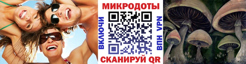 продажа наркотиков  Елабуга  Галлюциногенные грибы прущие грибы 