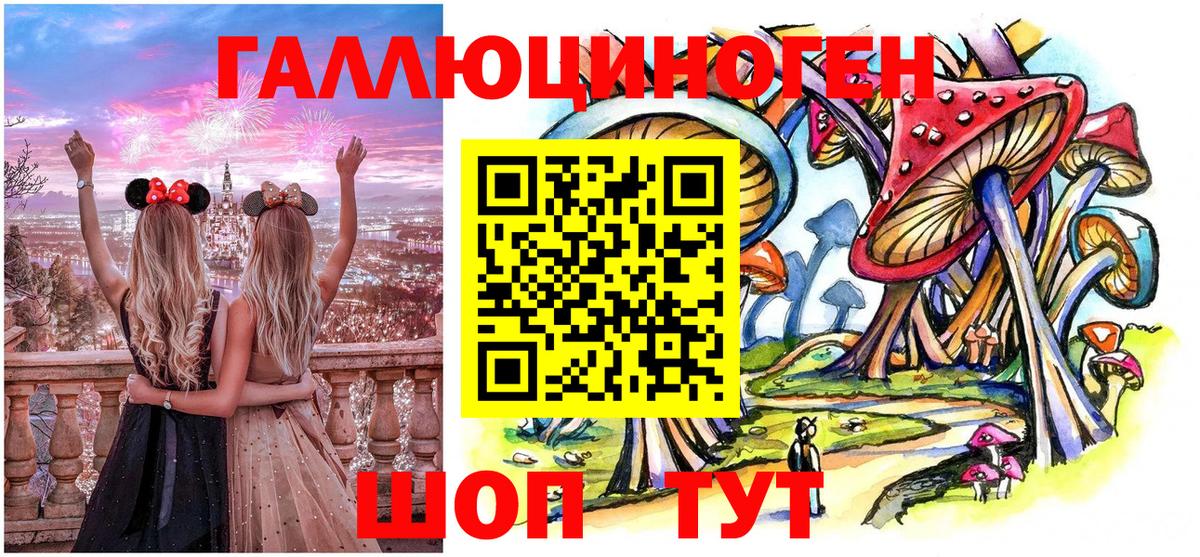 МЕФ Елабуга