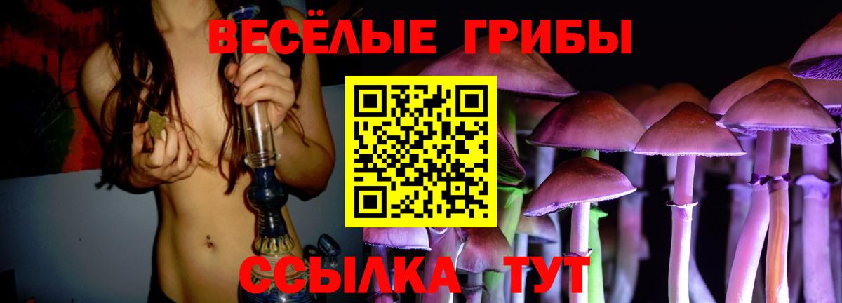 Галлюциногенные грибы MAGIC MUSHROOMS Елабуга